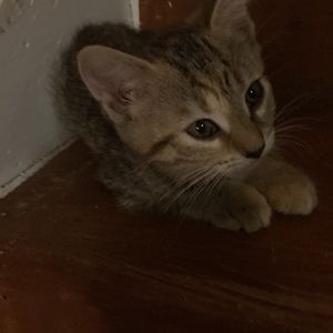 Meet your Posher, Christopher